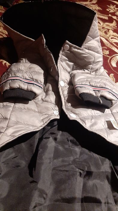 Одежда для собак