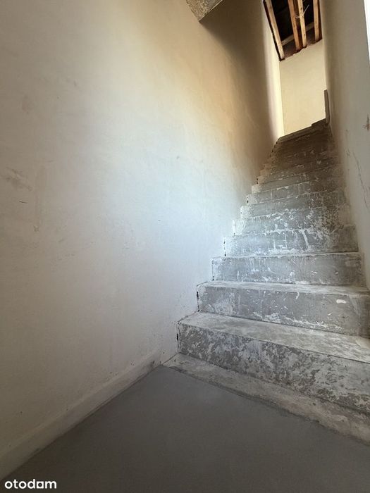 Zdjęcie 5