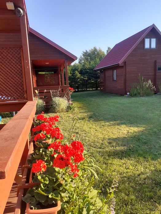 Domki blisko morza u PIOTRUSIA PANA