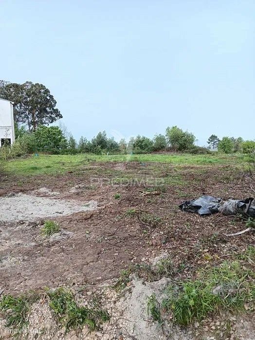 Terreno para possivel Atividade industrial - Sobreiro — Albergaria-A-Velha E Valmaior, Aveiro