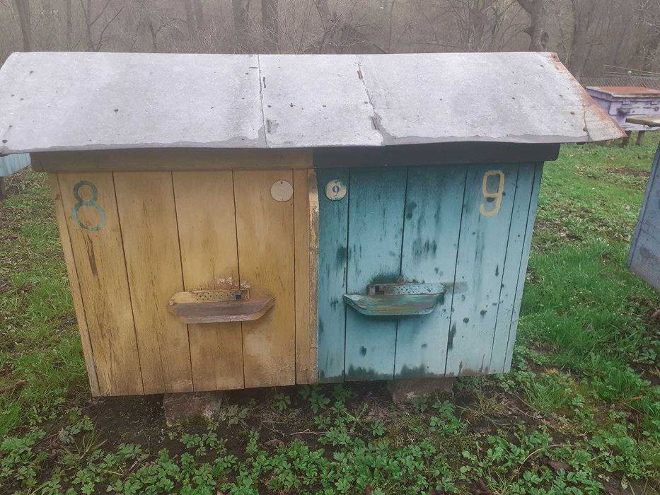 Продаються вулики
