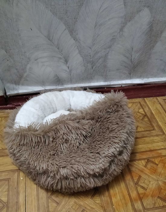 лежанка для котика або маленького песика