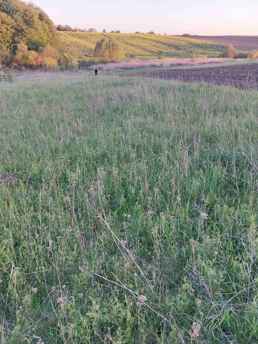 Продам земельну ділянку в селі Банюнин, Львівська обл.