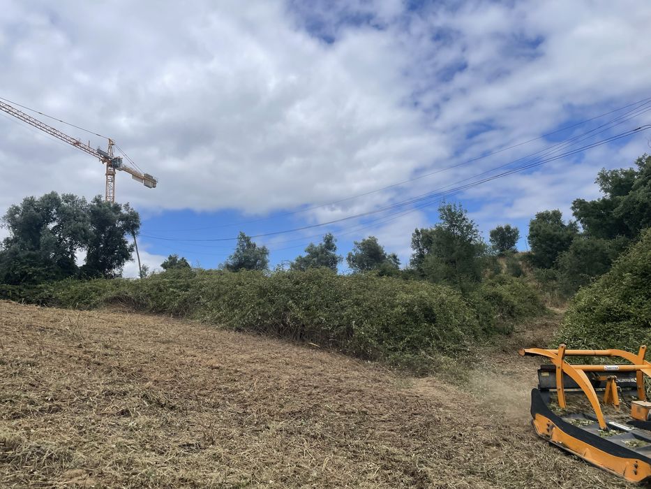 Limpeza de terrenos, corta mato, abate de arvores