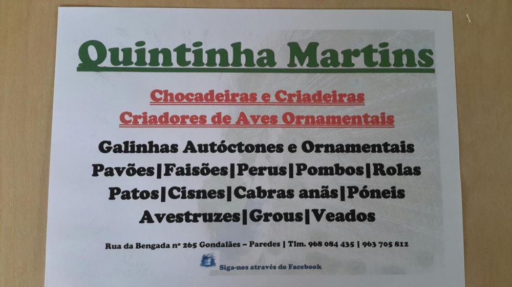 Casais Pavões  × Várias Raças ×
