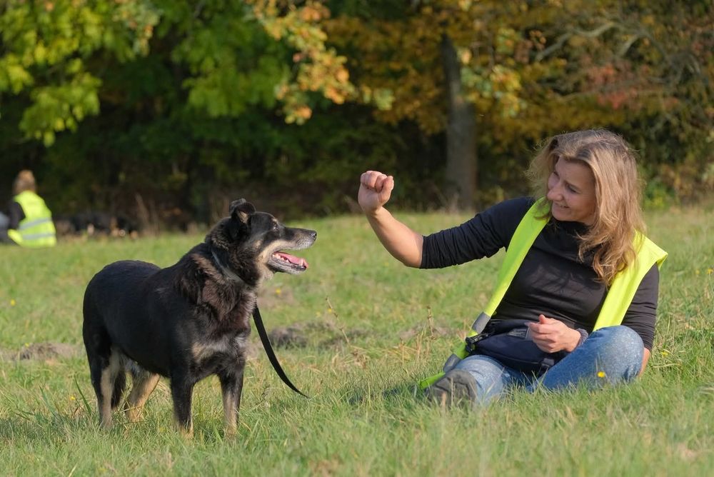 Derbi i Dafi, dwoje ptzyjaciol do adopcji