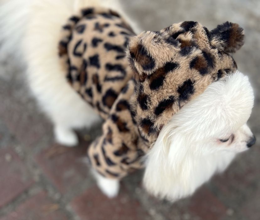 Леопардова шубка, куртка, кофта для песика, собачки