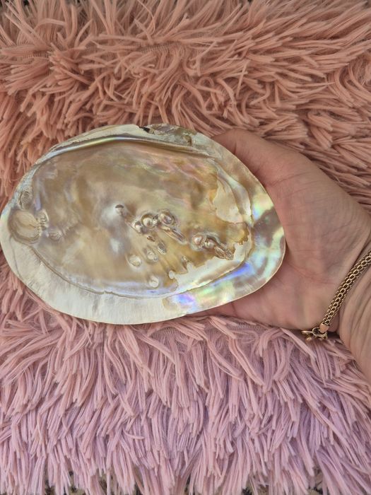 Натуральная ракушка с жемчужинами