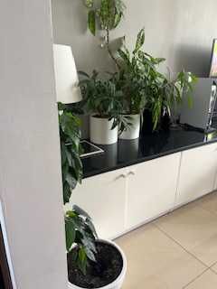 Sprzedam przytulną ,jasną kawalerkę z balkonem i piwnicą.