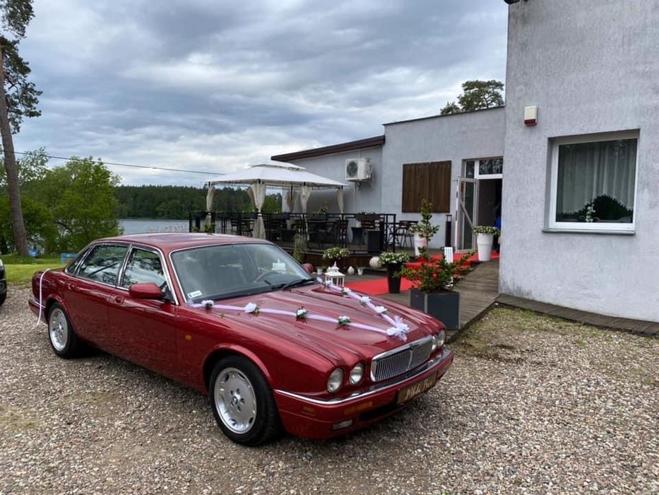 Auto samochód do ślubu - piekny klasyk Jaguar XJ