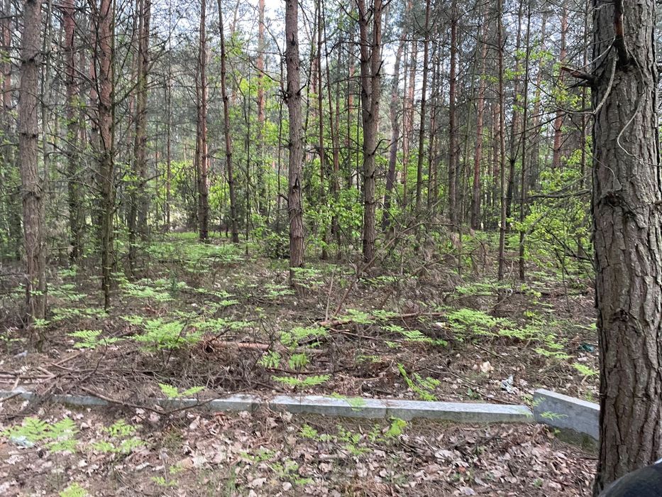 Działka z MPZP pod Warką 1580 m2