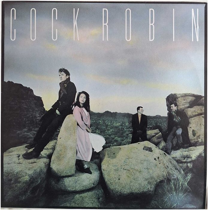 Vários Discos de Vinil