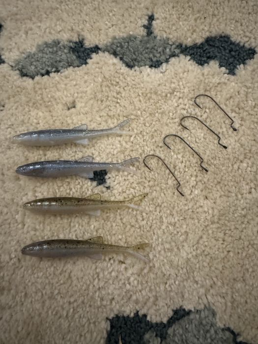 Jaskółki od jaxona