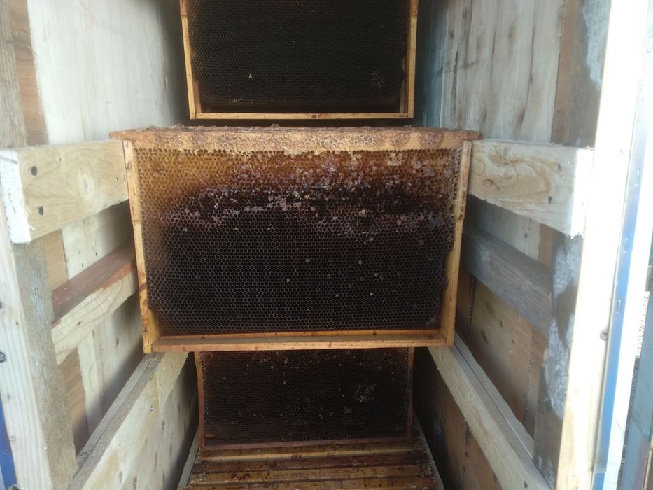 Продам бджолині рамки.