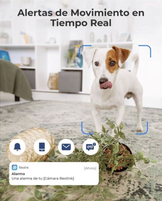 Reolink E1 WIFI Camera465470393943347202