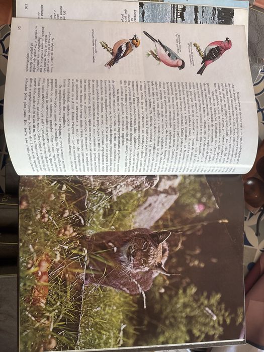 Coleção A Fauna 11 volumes e Animais em perigo WWF - editora Alfa