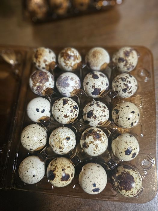 Перепела:Свіжі.Копчені.Яйця . Перепелині та Курячі.Молоді півники.