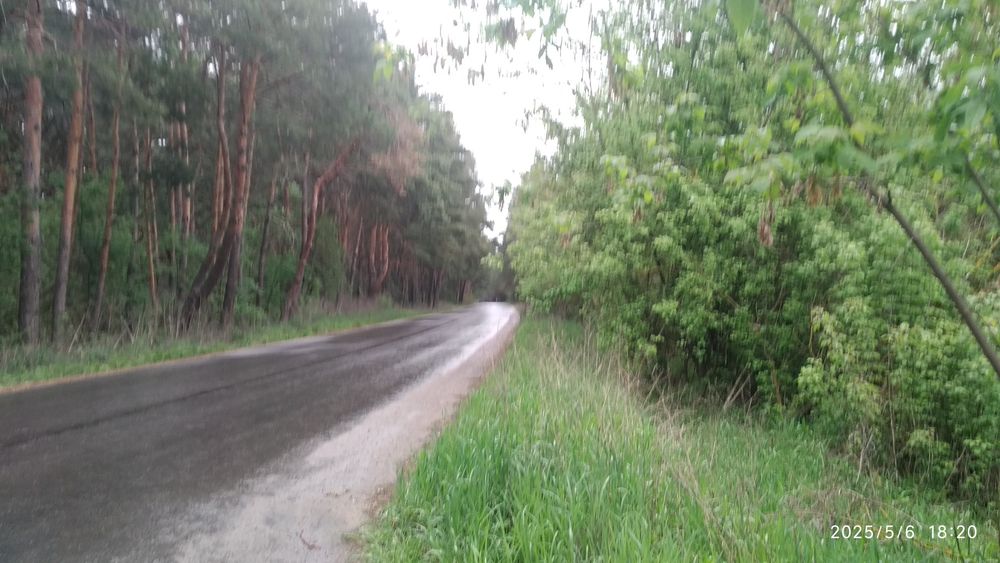 Дзвінкове. Ділянка під забудову площею 15соток біля лісу.