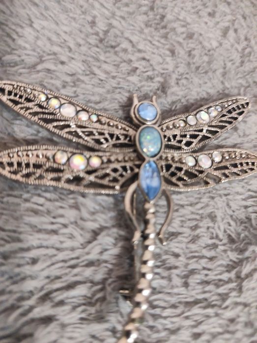 Piękna Broszka ważka