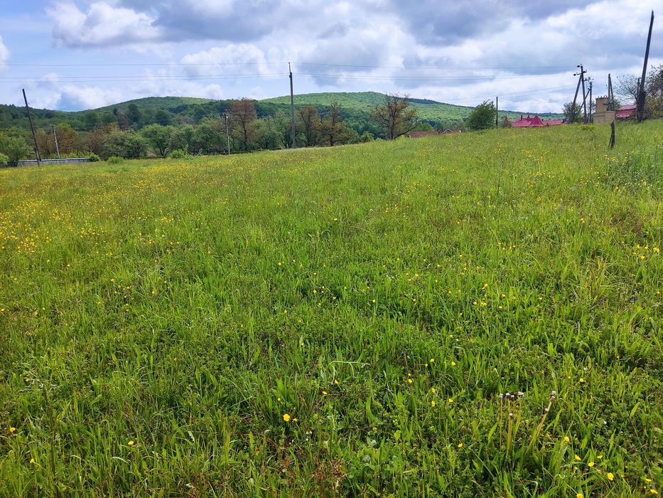 Продам земельну ділянку