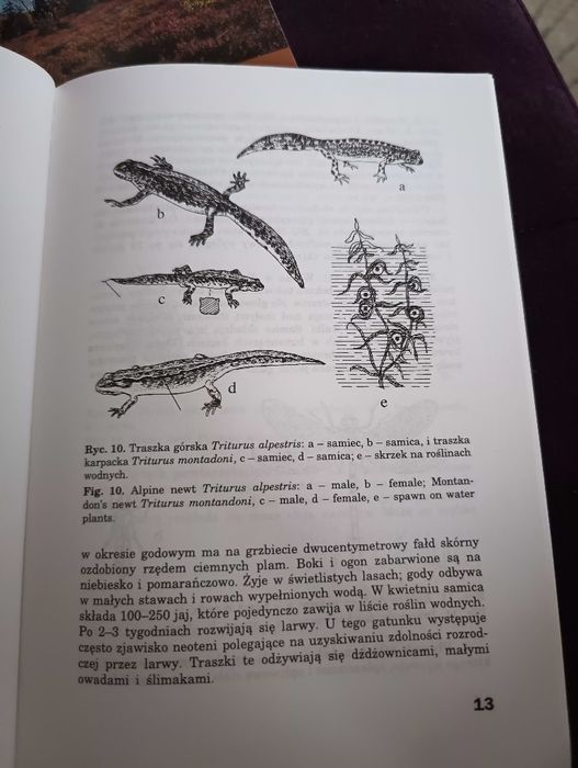 3 Przewodniki po Bieszczadach
