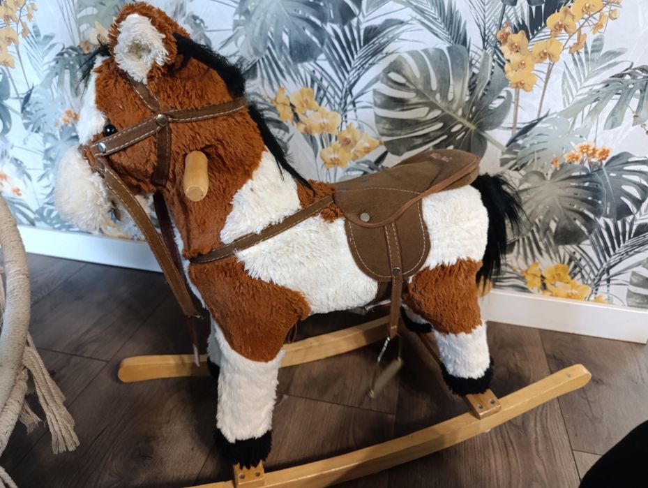 Konik na biegunach