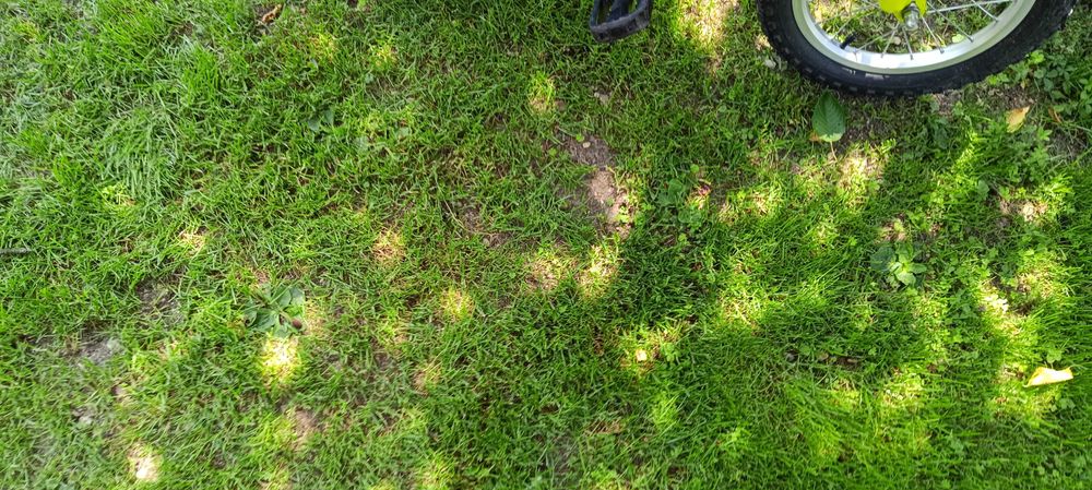 Rower dziecięcy Genesis 14 cali