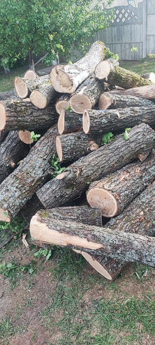 Продам колоті дрова твердих порід
