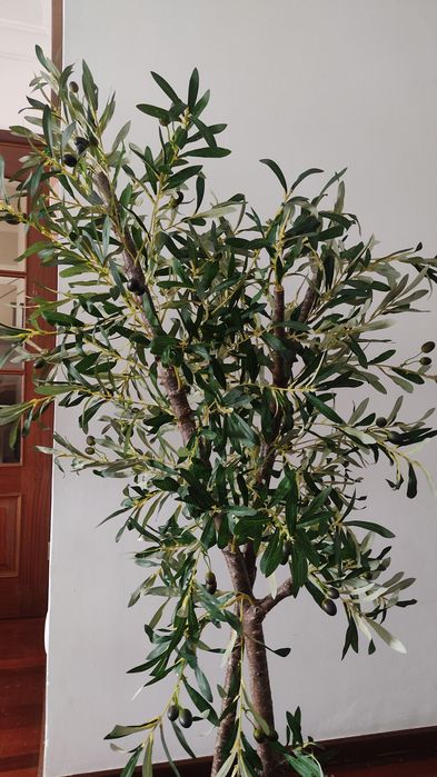 Oliveira artificial