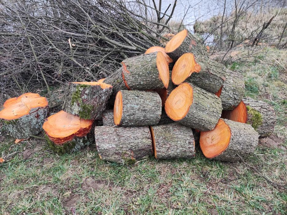 Sosna opał SUCHE do kozy kominka pieca CO