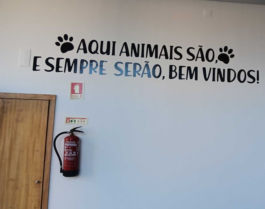 Trespasse loja de Banhos e Tosquias