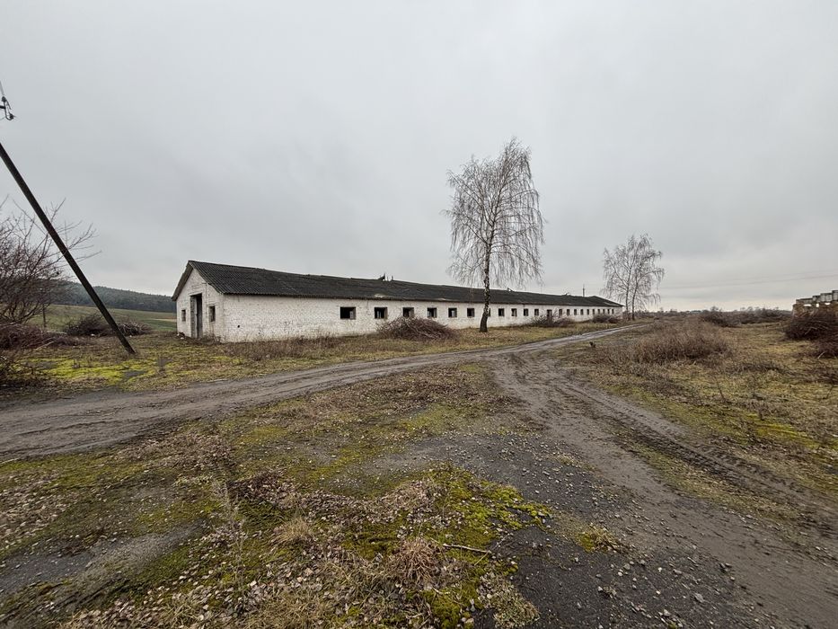 Оренда зерносклади, Ферми Радивилівський район