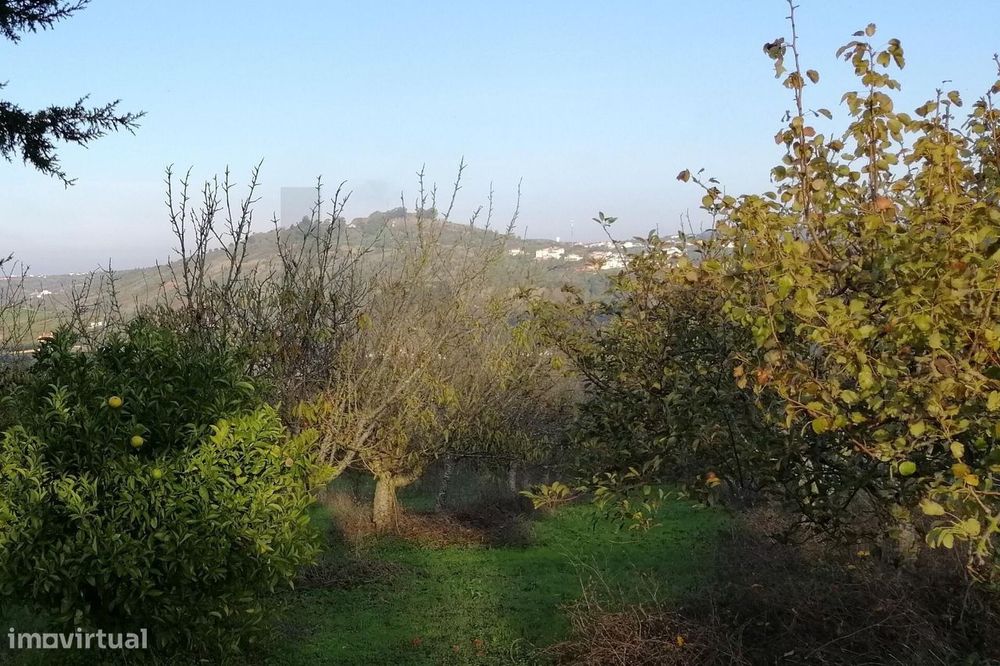 Terreno Rústico com 3.320 m2 em Meca, Alenquer – Inserido em RAN