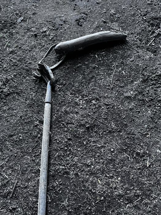 Camboada da grade de Bois,