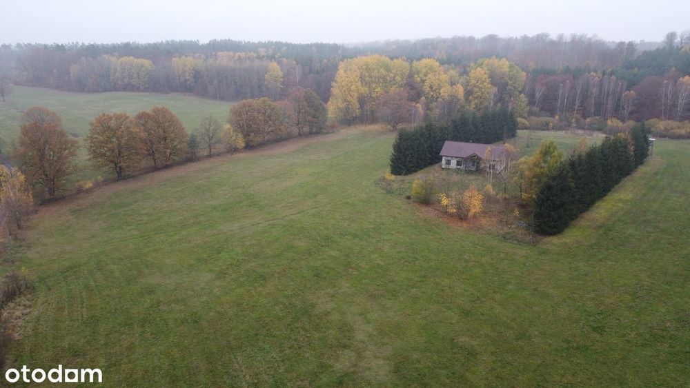 Działki budowlane w miejscowości Mosina gm. Witnica