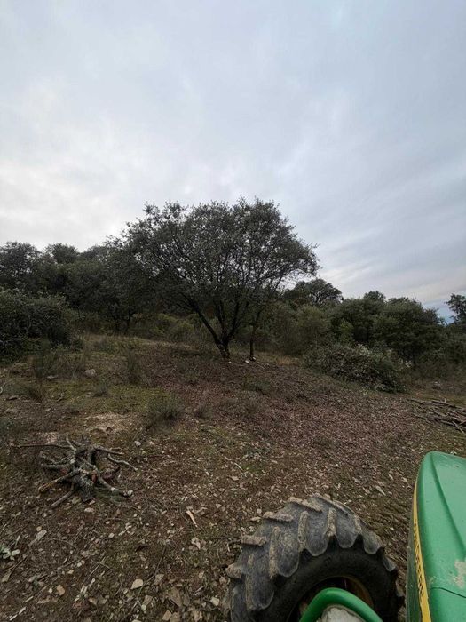 Jardinagem e limpeza de terrenos