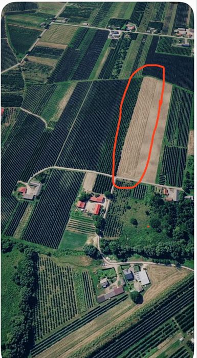Działka rolna 1,35 ha nr 422 w Kleczanowie, gmina Obrazów:asfaltowy dojazd - Widok 4