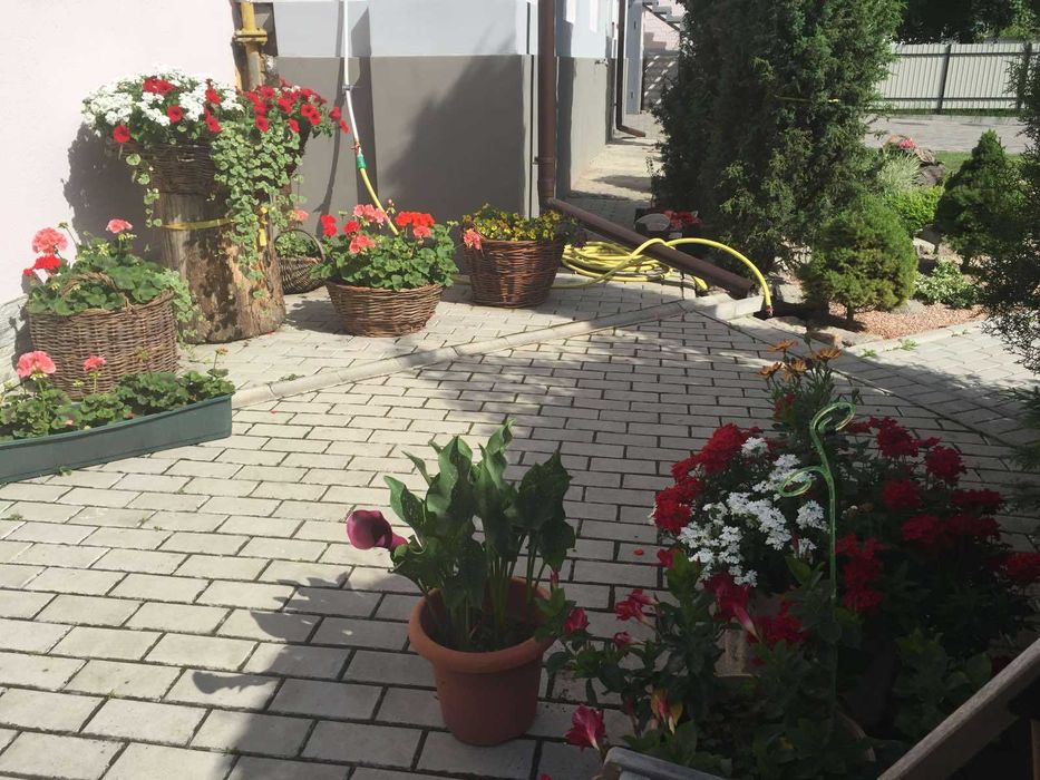 Офісне приміщення в центрі міста Черкаси