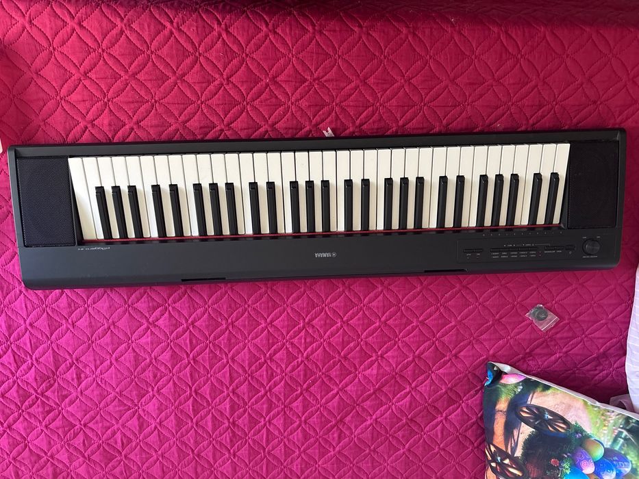 Teclado Yamaha Piaggero NP-12