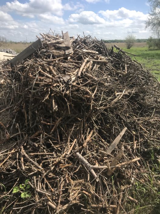 Продам дрова  разных  сортов!