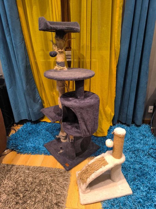 Arranhadores de Gato Só 10euros