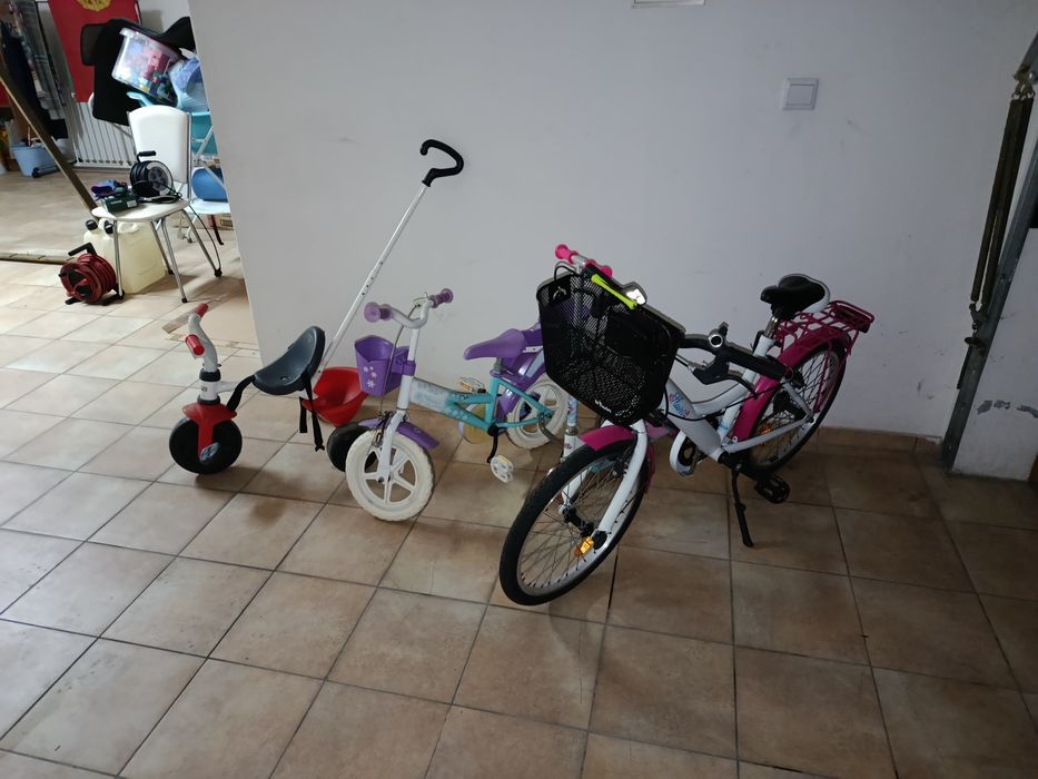 Desde o 1º até ao 11º ano de idade