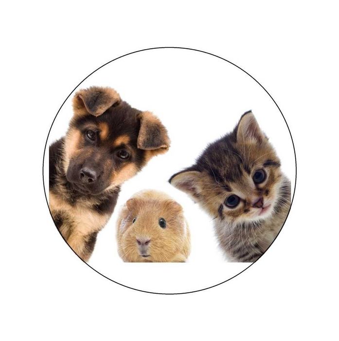 opłatek na tort piesek kotek świnka 20cm