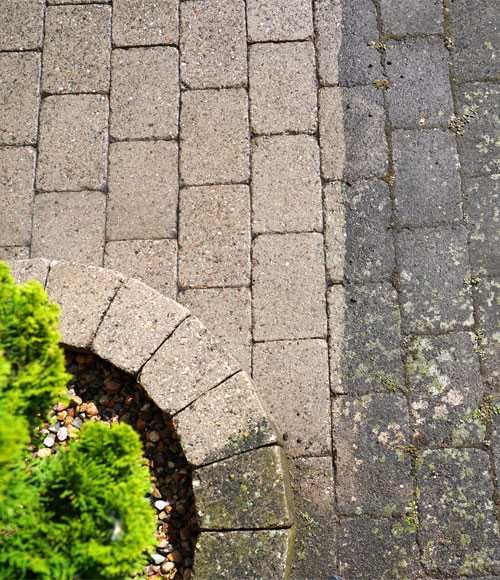 Limpeza de telhados terraços e paredes