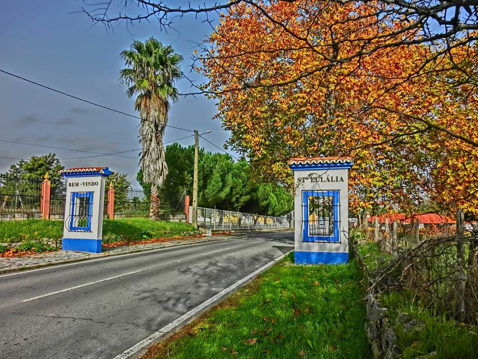 VENDO   OLIVAL  EM  SANTA  EULALIA  ELVAS  ALENTEJO  189 Oliveiras  Centenarias  1 , 175 ha de terreno