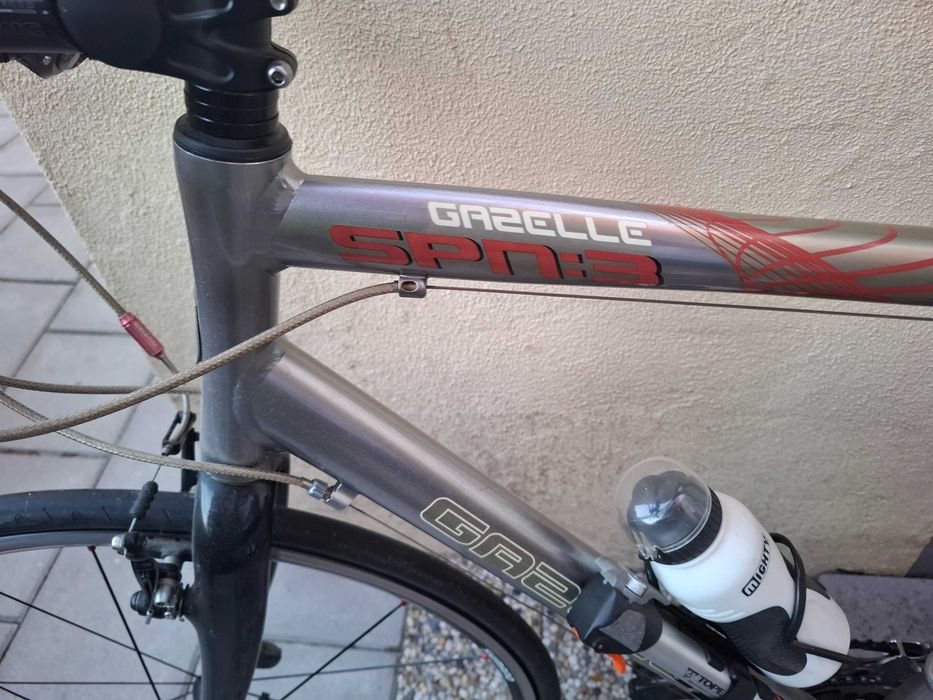 Rower wyścigowy Gazelle SPN3
