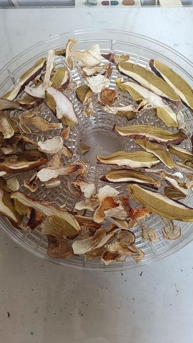 Borowik suszony 1kg