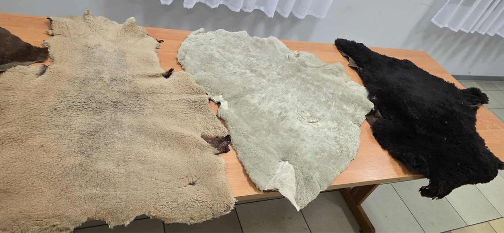 Skóry owcze naturalne