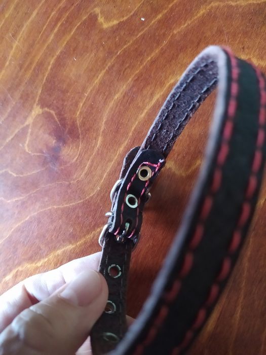 Ошейник для маленькой собачки, щенка, кошки