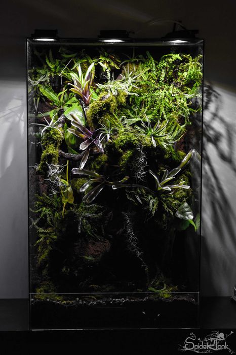 Terrários e Aquários por Medida